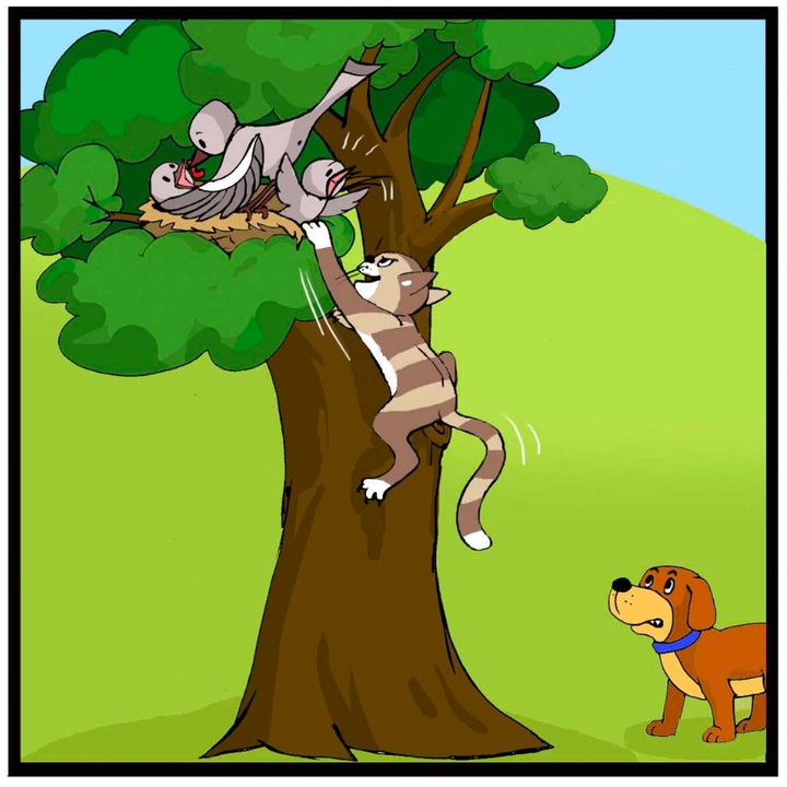 question image
