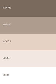 image answer choice