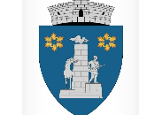 Descrierea heraldică a stemei:
Scut triunghiular albastru, cu marginile rotunjite, încărcat cu un obelisc de argint, alcătuit din blocuri  de piatră surmontat de un vultur cu aripile desfăcute și flancat dreapta-stânga de un cal cu capul conturnat și un soldat în poziție de luptă; în cantonul superior drept și în cel stâng se află câte un buchet din șase frunze de stejar, unite la coadă și dispuse radial, de aur. Scutul este timbrat de o coroană murală de argint cu un turn crenelat.

Semnificația elementelor însumate:
Obeliscul simbolizează eroicele lupte care au avut loc pe raza actualei comune Oituz, în 1916-1917, în timpul Primului Război Mondial.
Culoarea albastră a câmpului scutului semnifică puterea, succesul dobândit pe câmpul de luptă. 
Frunzele de stejar reprezintă, prin numărul lor, cele 6 sate ale comunei Oituz: Oituz, Marginea, Călcâi, Ferestrău, Hârja și Poiana Sărată.
Coroana murală, de argint, cu un turn crenelat, semnifică faptul că localitatea are rangul de comună.


