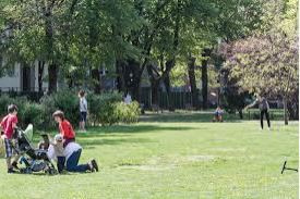 Park