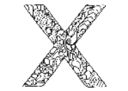 image answer choice