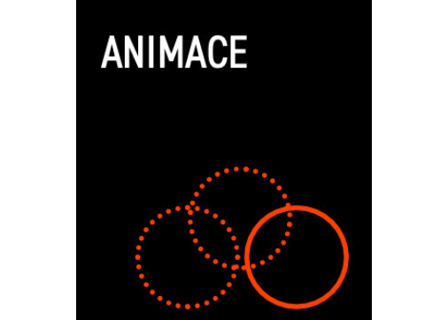 image answer choice