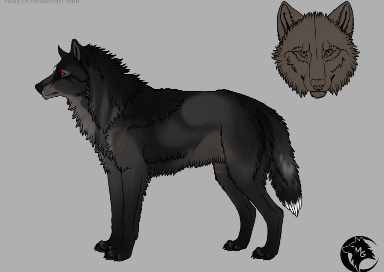 Scar