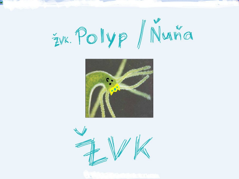 Polyp/Ňuňa