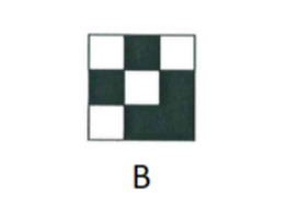 image answer choice