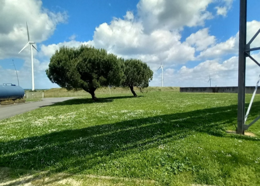 Entre la station essence et le parking PL