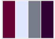 image answer choice