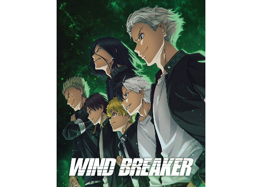 Wind Breaker