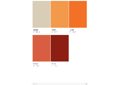 image answer choice