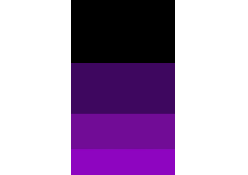 image answer choice