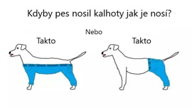 To první