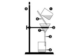 image answer choice