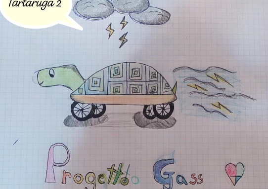 Tartaruga 2