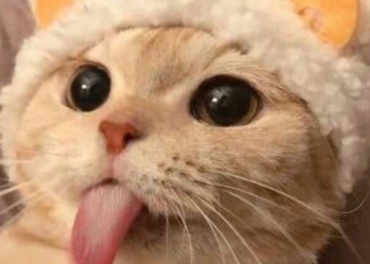 Все круто 😝