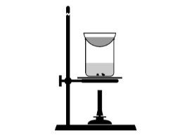 image answer choice
