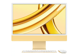 image answer choice