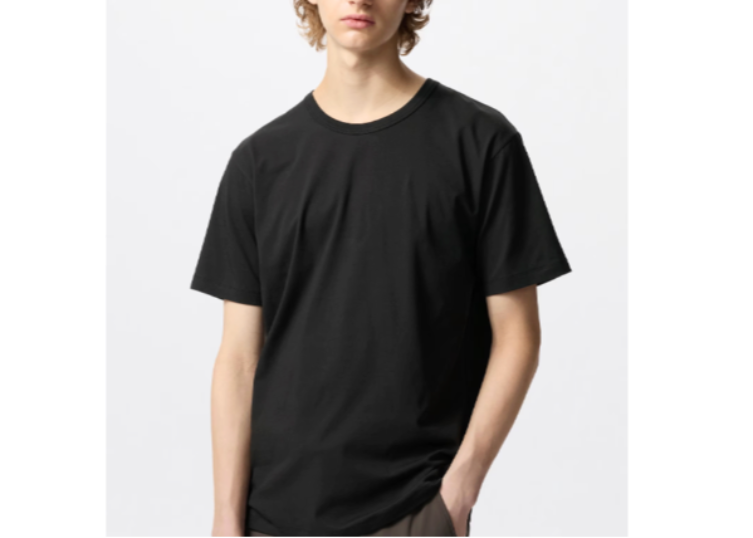 T-Shirt (short sleeves) 