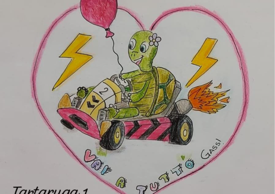 Tartaruga 1