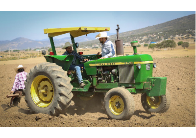 DESARROLLO DEL CAMPO