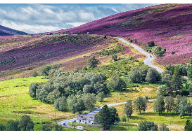 Cairngorms National Park (Park zahrnuje pohoří Cairngorms a okolní hory. Je to největší národní park na Britských ostrovech a je domovem 18 000 lidí žijících v četných městech a vesnicích v parku. Park je domovem 25% ohrožených druhů zvířat, hmyzu, hub a rostlin, z kterých jen některé lze nalézt pouze v Cairngorms. Najdeme zde více než polovinu přežívajícího kaledonského lesa, včetně největších zbývajících zbytků)
