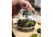 Atelier plantes en pots (terrarium, composition thématique ...)