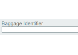 image answer choice