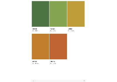 image answer choice