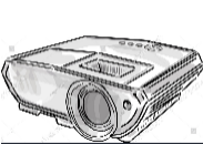 image answer choice