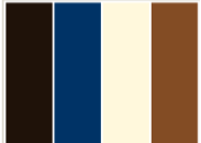 image answer choice