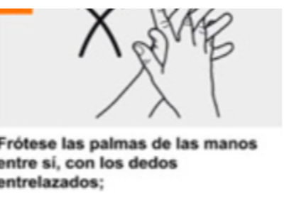 Descripción de la imagen 6