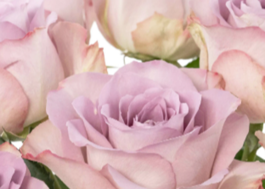 ROSEN