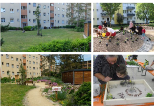 Pflege und anpflanzen von Nutz- und Zierpflanzen in einem abgegrenzten Bereich (Beispiel: PikoPark)