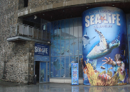 SEA LIFE Loch Lomond Aquarium (Možnost vidět nějaké tvory, které jste nikdy předtím neviděli, toto akvárium je místem pro vás. Podíváte se po několika oblastech, kde kolem vás a nad vámi plavou ryby. Prozkoumáte 7 tematických zón, díky kterým objevíte podmořský svět a vydáte se na fascinující cestu od břehů jezera Loch Lomond do hlubin oceánu. Přiblížíte se k více než 5 000 tvorům, včetně největší sbírky žraloků ve Skotsku a hravé rodiny vyder)
