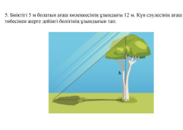 3-топ