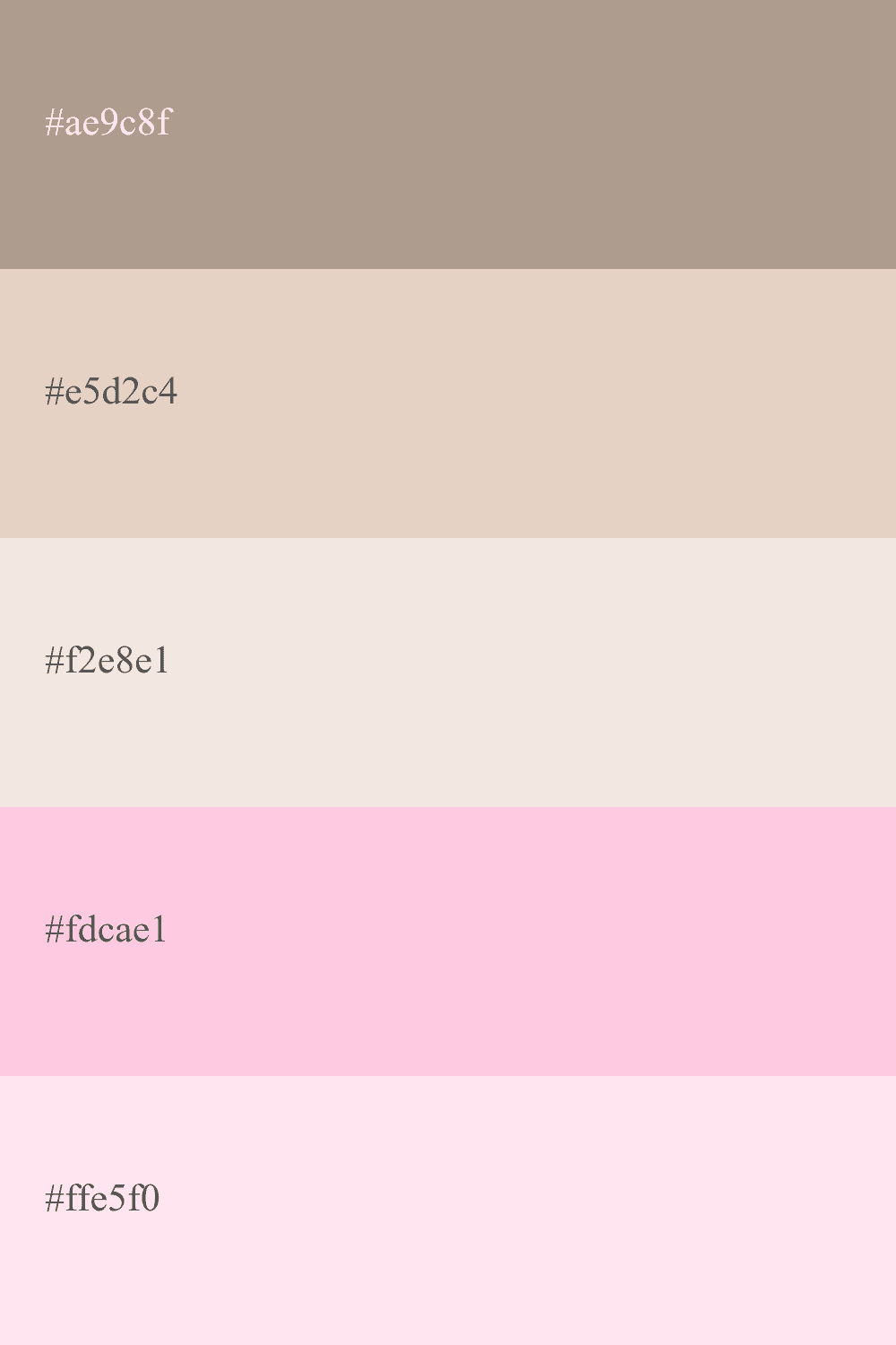 image answer choice