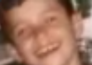 VINI