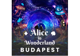 Füvészkert - Garden of lights (4100 Ft/fő)