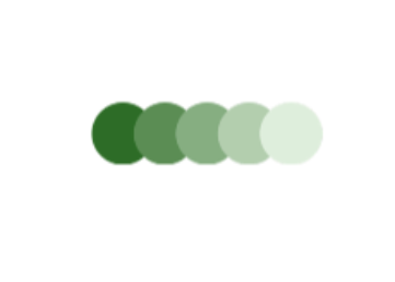 image answer choice