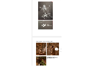 image answer choice