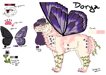Dorya