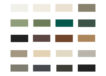 image answer choice