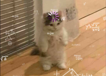 image answer choice