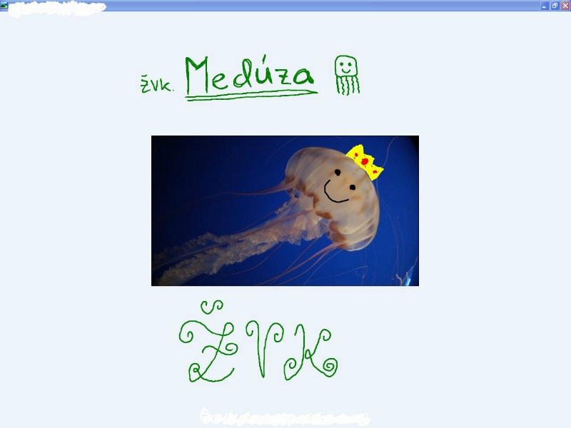 Medúza