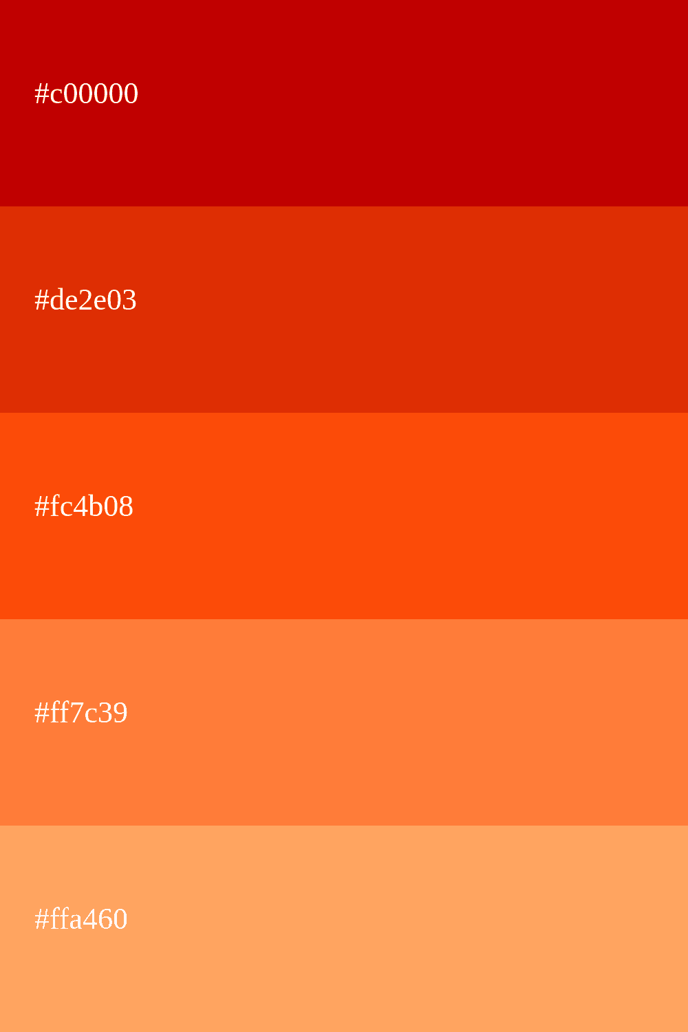 image answer choice