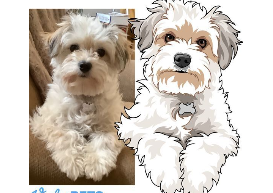 image answer choice