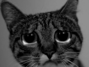 nie