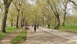 Park