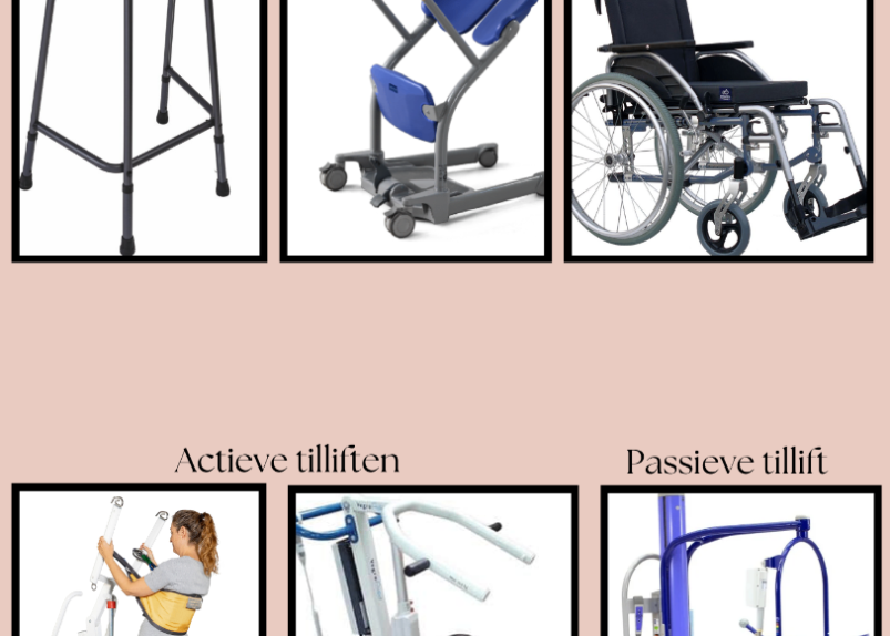 image answer choice