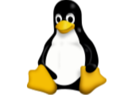 image answer choice
