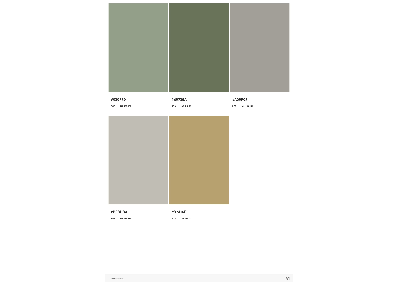 image answer choice